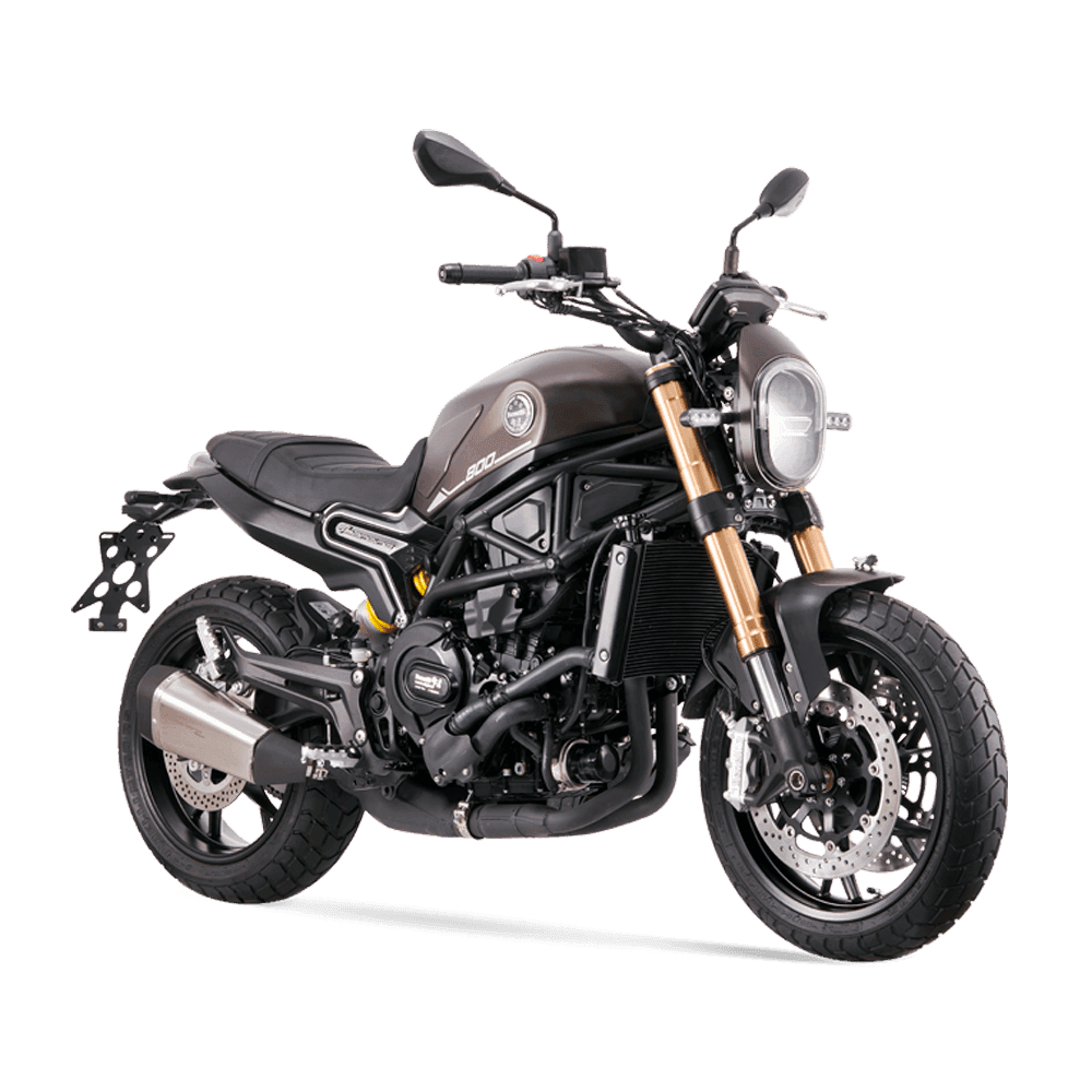 LEONCINO 800