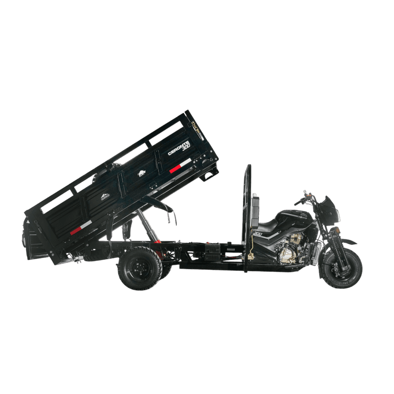 Tricargo 300